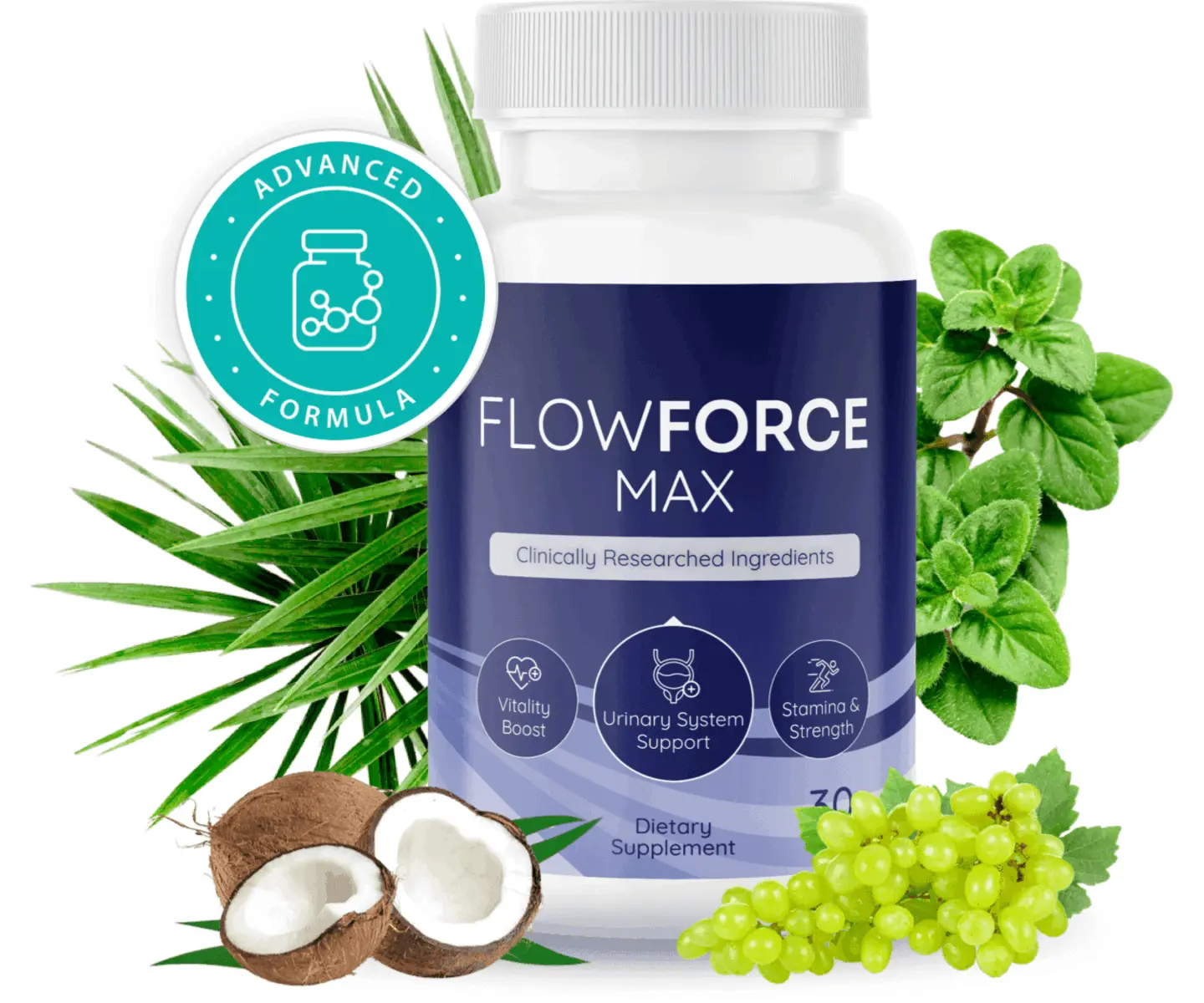 FlowForce-Max